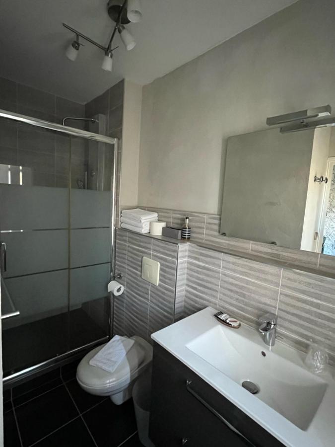 Chambres D'Hotes & Spa Les Perce Neige Vernou-sur-Brenne エクステリア 写真