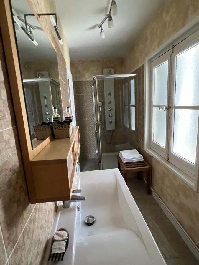 Chambres D'Hotes & Spa Les Perce Neige Vernou-sur-Brenne エクステリア 写真