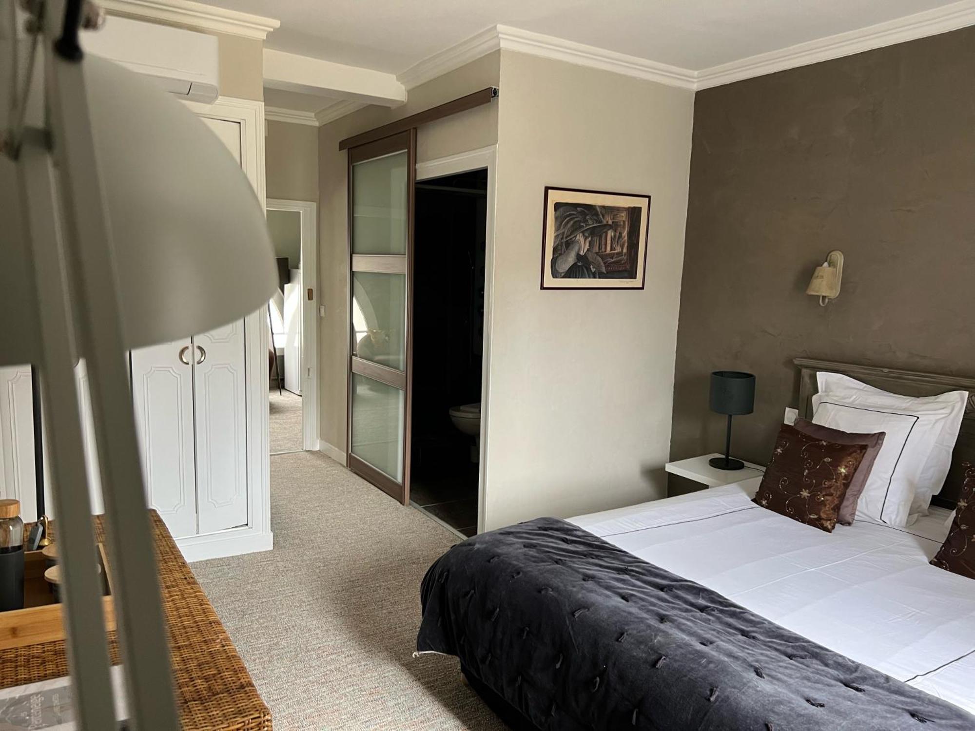 Chambres D'Hotes & Spa Les Perce Neige Vernou-sur-Brenne エクステリア 写真