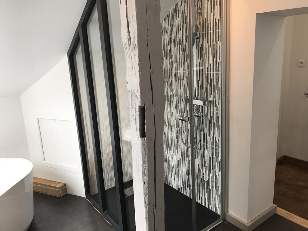 Chambres D'Hotes & Spa Les Perce Neige Vernou-sur-Brenne エクステリア 写真